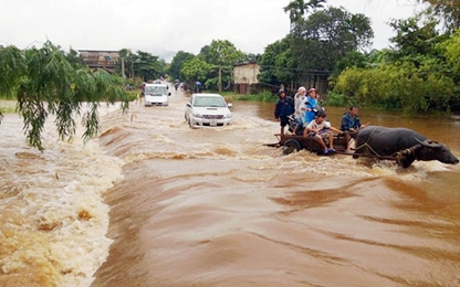 Tác động El Nino và nhận định thiên tai năm 2015