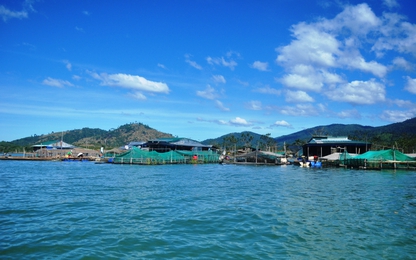 Xuân về trên làng chài Sê San