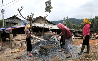 Hơi ấm mùa Xuân về trên "rốn lũ" Trạm Tấu, Yên Bái