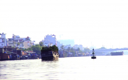 Hiệu quả ứng dụng công nghệ thông tin trong quản lý bảo trì ĐTNĐ