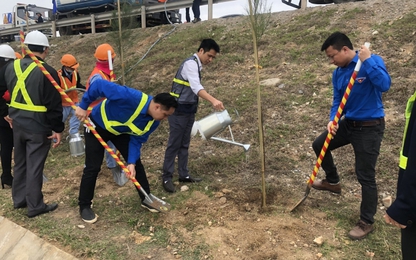 Sắc xanh thanh niên trên mỗi cung đường