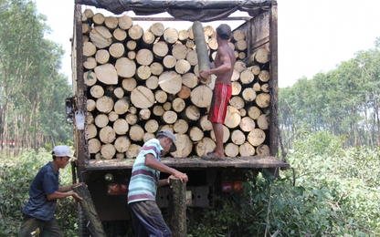 Tăng tốc lấy mặt bằng “sạch” thi công Cảng HKQT Long Thành