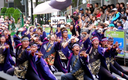 Đà Nẵng có lễ hội Hanami đầu tiên tại Asia Park