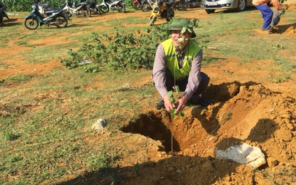 Chi cục Quản lý đường bộ I trồng cây bảo vệ hành lang ATGT