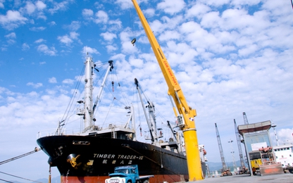 Cảng Cam Ranh tăng trưởng lợi nhuận hơn 74% trong 6 tháng đầu năm 2019