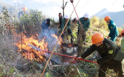 Diễn tập phòng cháy chữa cháy cấp độ 2 tại Vườn quốc gia Hoàng Liên