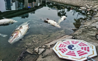 Phát động cuộc thi ảnh “Biến đổi khi hậu và hành động của chúng ta”