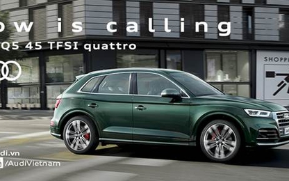 Triệu hồi Audi A7, A8, Q7 tại Việt Nam để thay ống áp suất thấp