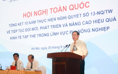 Kinh tế tập thể phi nông nghiệp khẳng định vị thế trên thị trường