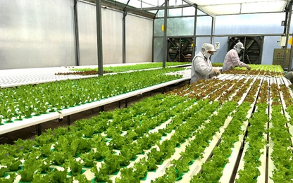 Nông nghiệp công nghệ cao trong xu thế Cách mạng công nghiệp 4.0