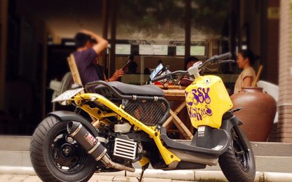 Những mẫu xe máy không cần bằng lái tại Việt Nam