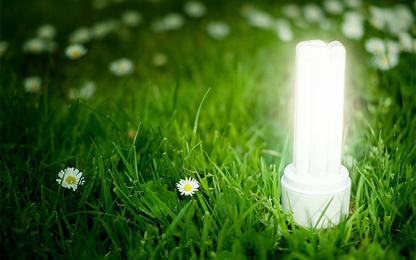 California tiết kiệm hàng tỉ USD nhờ bóng đèn tiêu chuẩn