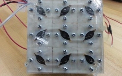 Sản xuất năng lượng sạch từ pin năng lượng sinh học