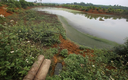 Nhà máy xả thải khiến cá chết bồi thường 1,4 tỷ đồng