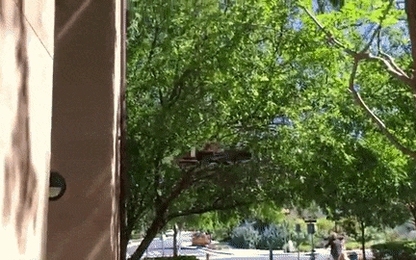 Khi drone có thể trở thành "người nhện"