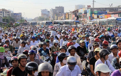 Công bố nguyên nhân cá chết vào ngày 29/6