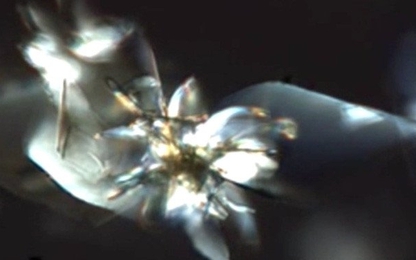 Nhật chế tạo robot siêu nhỏ điều khiển bằng ánh sáng