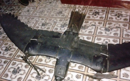 Drone do thám giống hệt chim bị bắn hạ