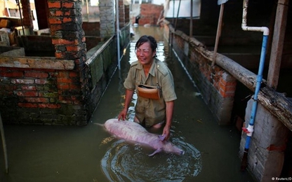 Số người chết vì mưa lũ ở Trung Quốc tăng vọt