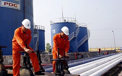Hóa dầu Petrolimex báo lãi giảm mạnh vì nhựa đường