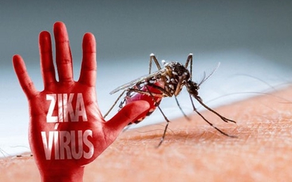Thêm một người nước ngoài nhiễm virus Zika tại Việt Nam