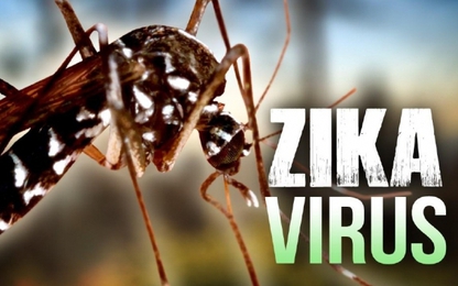 TP HCM công bố dịch bệnh Zika