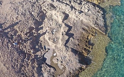 Xưởng đóng tàu nghìn tuổi quy mô nhất thời cổ đại