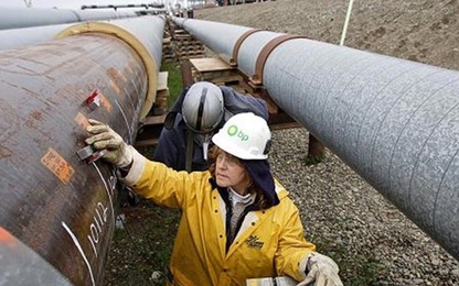 Giá dầu giảm mạnh 4% vì các tín hiệu sản lượng trái chiều