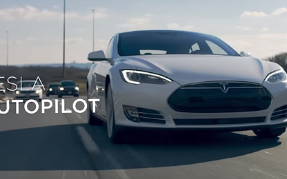 Tesla kiện chính cựu giám đốc Autopilot của mình