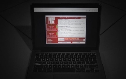 Doanh nghiệp Việt thiệt hại hàng ngàn USD vì WannaCry