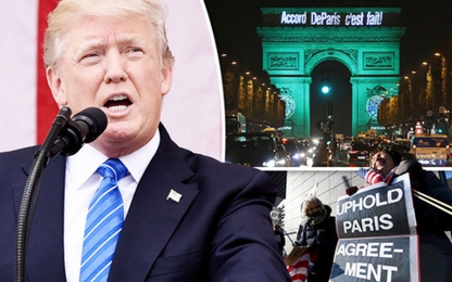 CEO công nghệ Mỹ chỉ trích quyết định ông Trump rút khỏi Hiệp định Paris