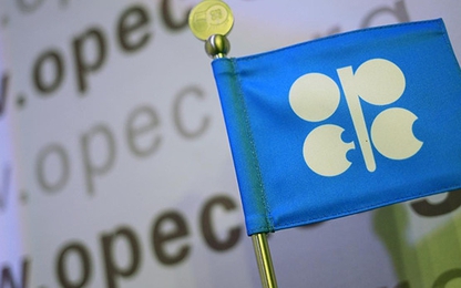 Giá dầu tăng do Saudi Arabia xem xét giảm xuất khẩu