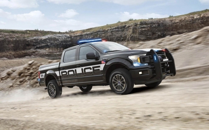 Diện kiến Ford F-150 Police Responder, bán tải truy đuổi tội phạm
