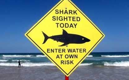 Úc sử dụng drone phát hiện cá mập để bảo vệ người dân