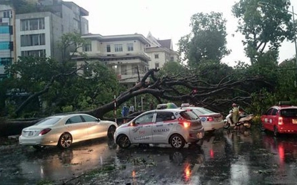 Kỹ năng an toàn khi xảy ra giông bão