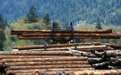 Canada bất mãn vì thuế của Tổng thống Donald Trump