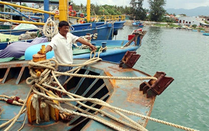 Chủ 19 tàu vỏ thép hư hỏng yêu cầu bồi thường hơn 45 tỷ đồng