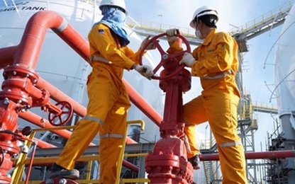 Vì sao hàng loạt doanh nghiệp niêm yết bị truy thu thuế?