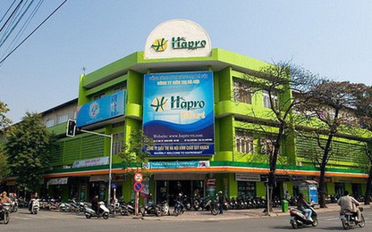 Honda Tây Hồ sẽ tiếp tục chi gần 2.000 tỷ nắm quyền kiểm soát Hapro