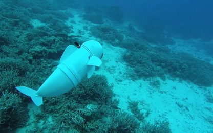 Chú cá robot có thể bơi ở độ sâu 15m mà không bị phát hiện