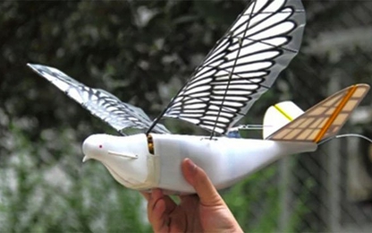 Trung Quốc sáng chế UAV chim bồ câu bịt mắt radar
