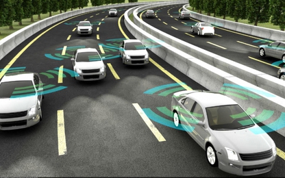 Trí tuệ bầy đàn: Từ đàn kiến đến xe hơi tự điều khiển