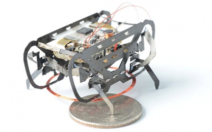 Robot nặng 1,5 gam “chấp” mọi kiểu địa hình nhờ bắt chước loài gián