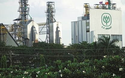 Nhà đầu tư Thái và chiến thuật bao phủ