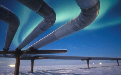 Nguồn cung dầu toàn cầu cao kỷ lục đẩy giá dầu sụt mạnh