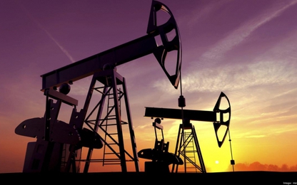 OPEC và Nga bác yêu cầu của ông Trump về tăng sản lượng dầu