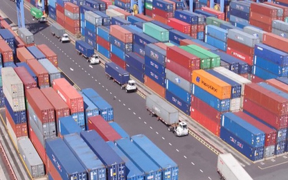 Hơn 4.900 container vô chủ tồn đọng được xử lý như thế nào?