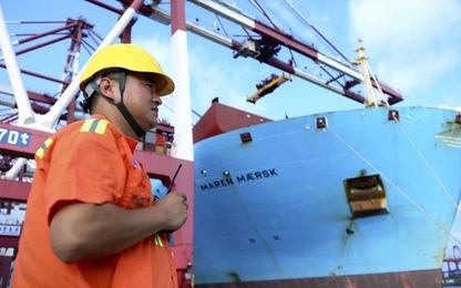 Ông Trump - Tập điện đàm, hẹn gặp tìm giải pháp chiến tranh thương mại