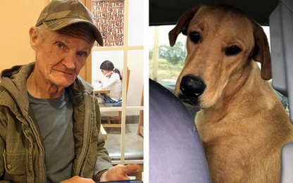 Chó... "bắn" người trọng thương tại Mỹ