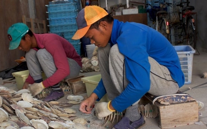 Nhật tổ chức kỳ thi ngôn ngữ để cấp loại visa mới tại Việt Nam